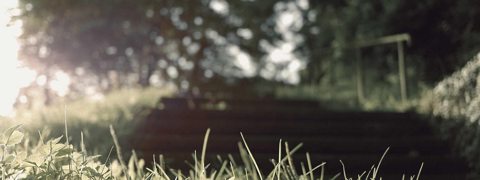 Hildesheimer Garden Residence backdrop